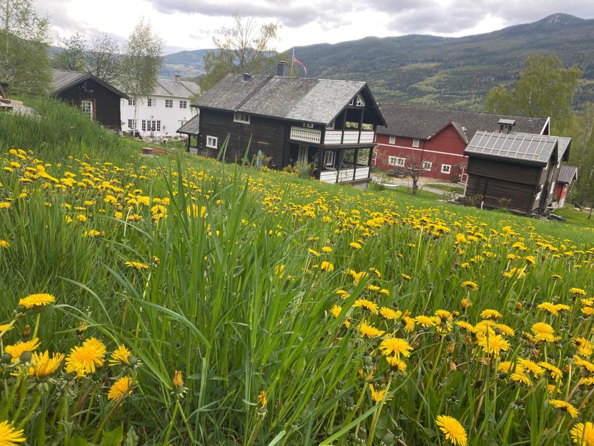 Hesla Farm Apartment Gol Bagian luar foto